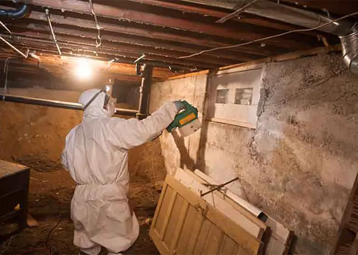 crawlspace mold remediation