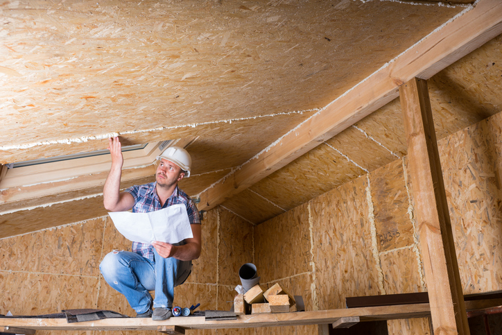 Crawlspace inspection