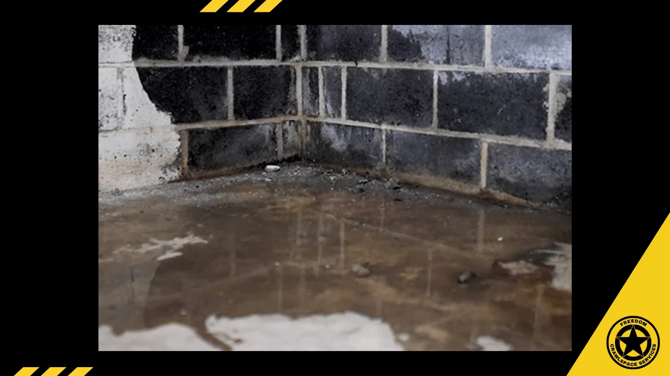 basement waterproofing experts your ultimate defense against moisture intrusion