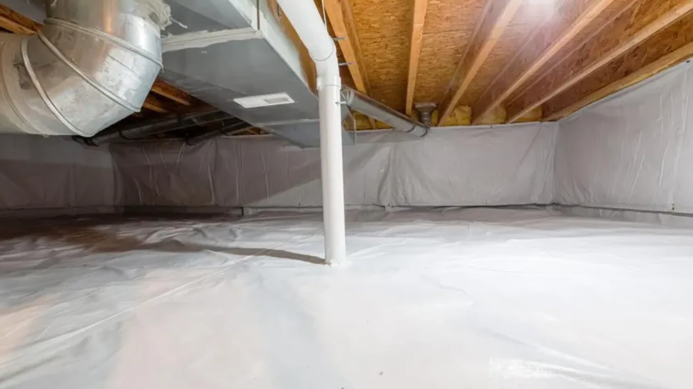 importance of crawlspace inspection for damage prevention